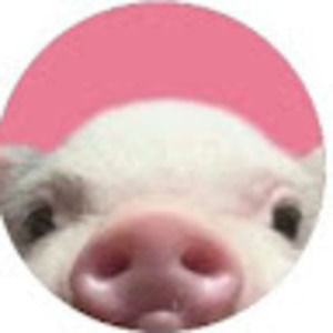 Meet your Posher, Piggy